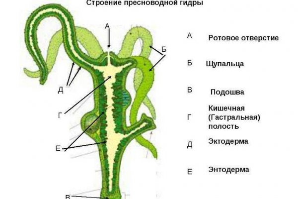 Ссылка онион omg omg