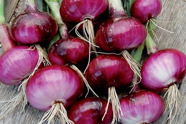 Ссылка на блэкспрут onion