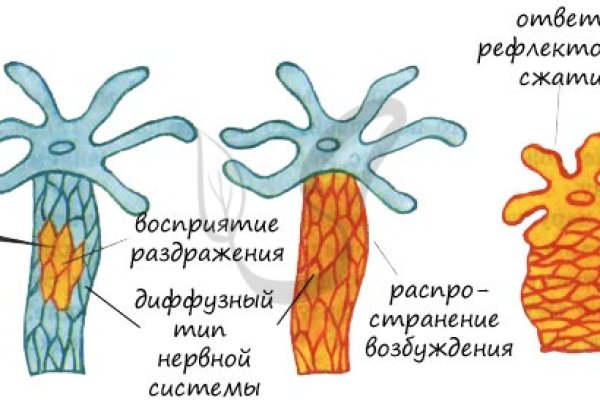 Проверочный код на меге даркнет